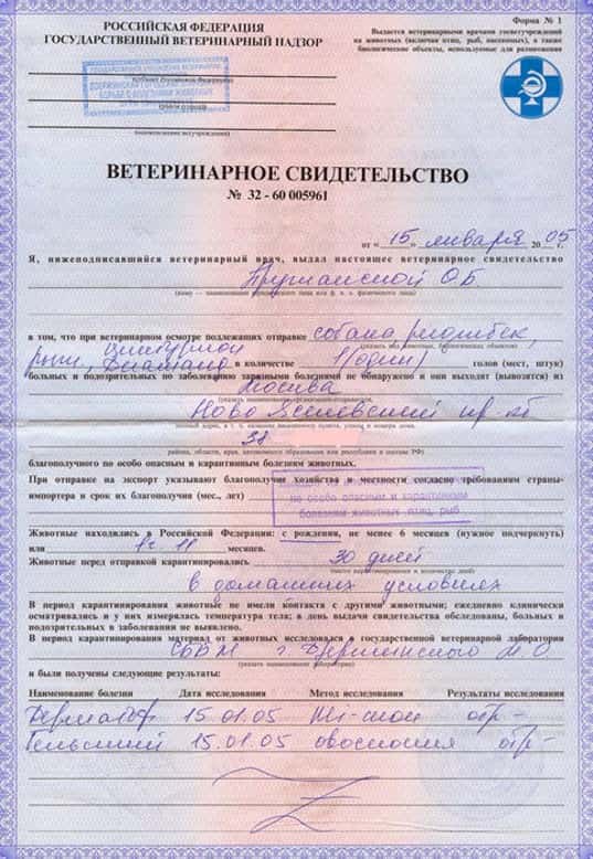 Справка для собаки по форме 1